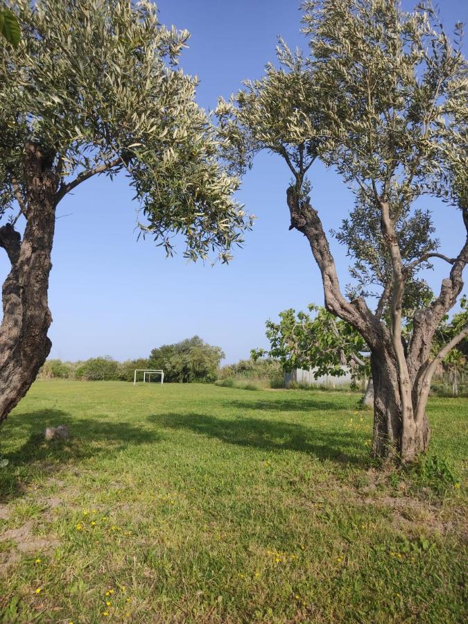 SantʼEufemia Lamezia Casetta Ggg מראה חיצוני תמונה
